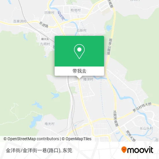 金洋街/金洋街一巷(路口)地图