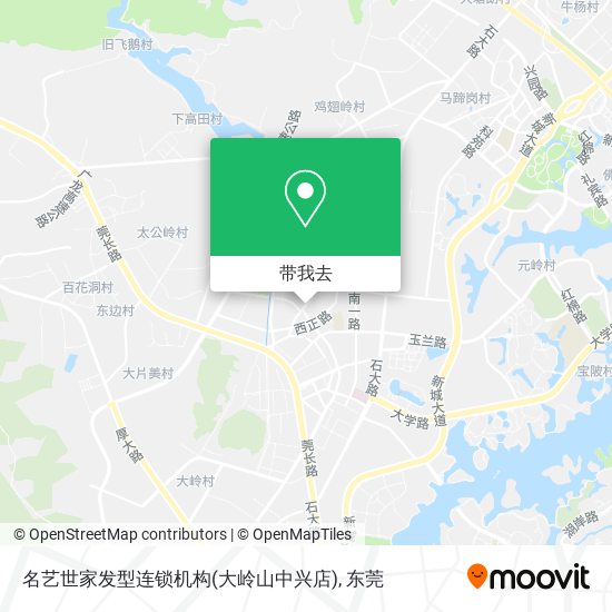 名艺世家发型连锁机构(大岭山中兴店)地图