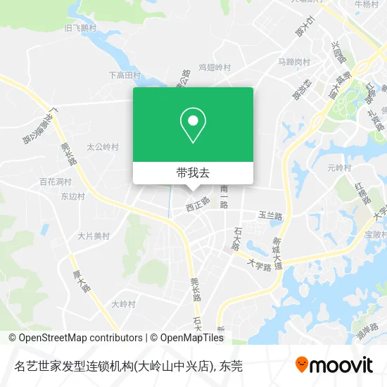 名艺世家发型连锁机构(大岭山中兴店)地图