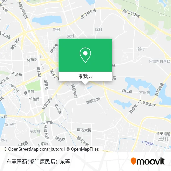 东莞国药(虎门康民店)地图