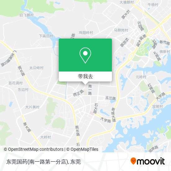 东莞国药(南一路第一分店)地图