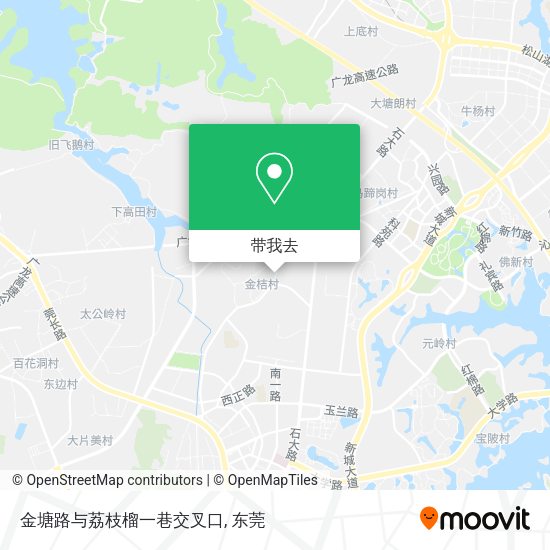金塘路与荔枝榴一巷交叉口地图