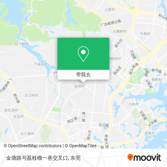 金塘路与荔枝榴一巷交叉口地图
