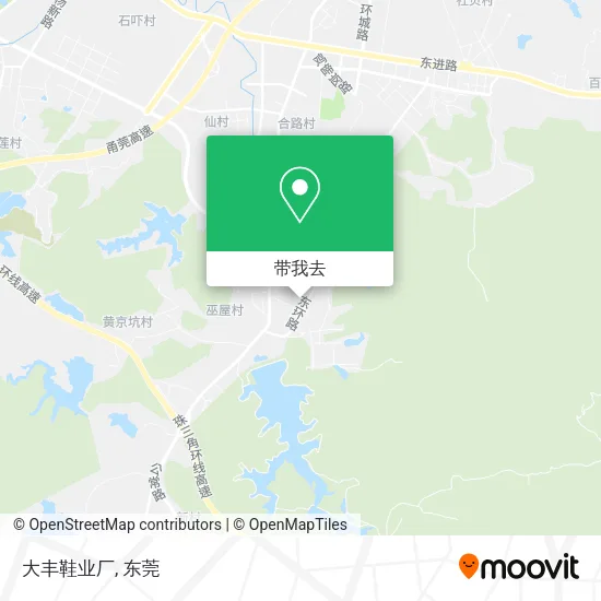 大丰鞋业厂地图