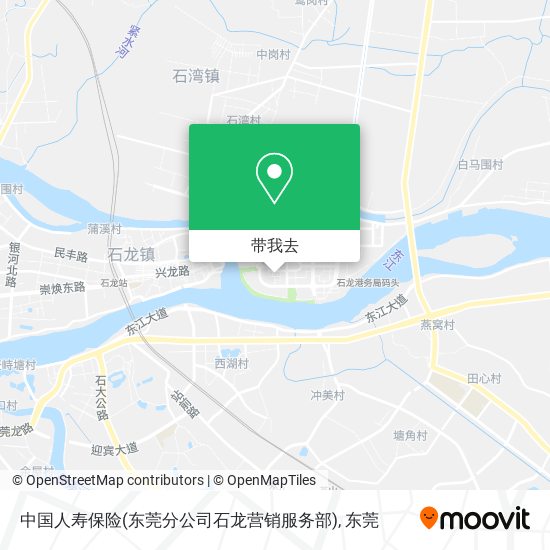 中国人寿保险(东莞分公司石龙营销服务部)地图