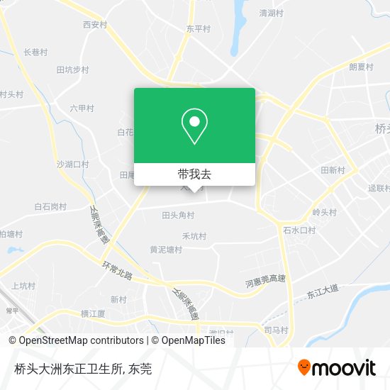 桥头大洲东正卫生所地图