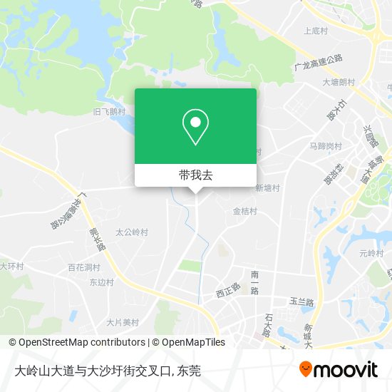 大岭山大道与大沙圩街交叉口地图