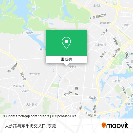 大沙路与东阳街交叉口地图