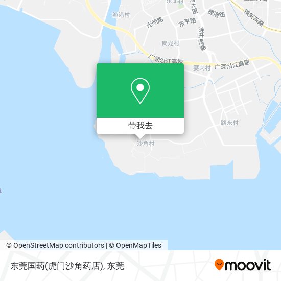 东莞国药(虎门沙角药店)地图