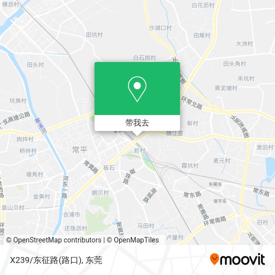 X239/东征路(路口)地图