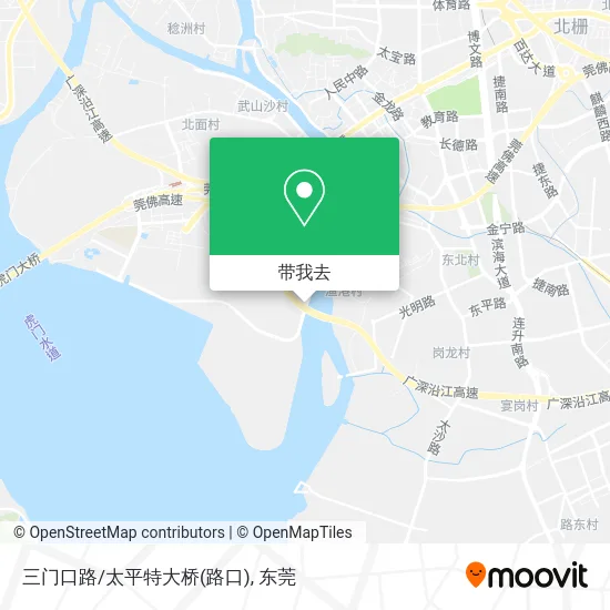 三门口路/太平特大桥(路口)地图