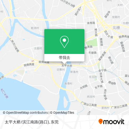 太平大桥/滨江南路(路口)地图