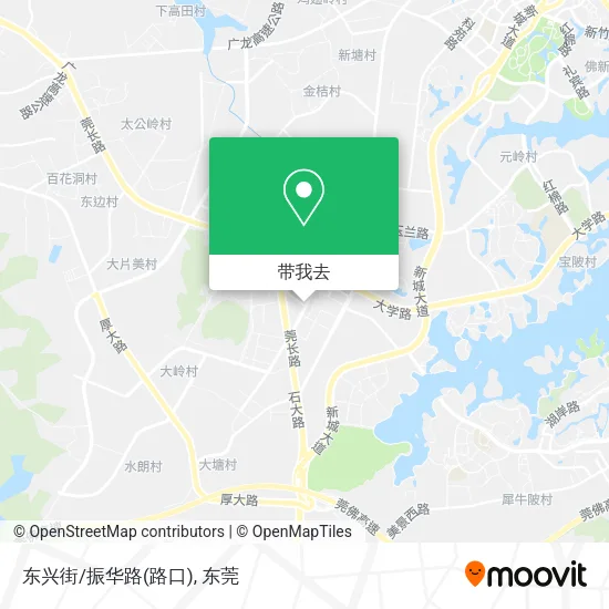 东兴街/振华路(路口)地图