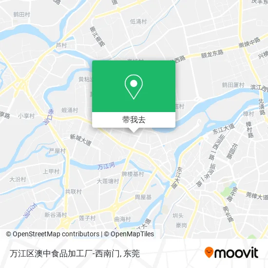 万江区澳中食品加工厂-西南门地图