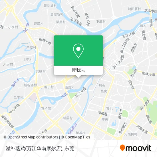 滋补蒸鸡(万江华南摩尔店)地图