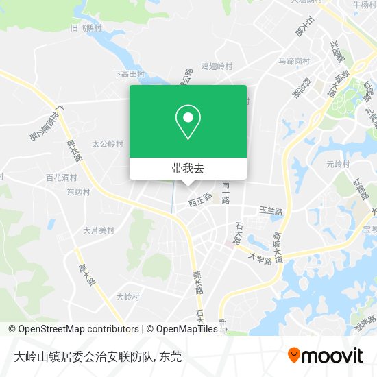 大岭山镇居委会治安联防队地图
