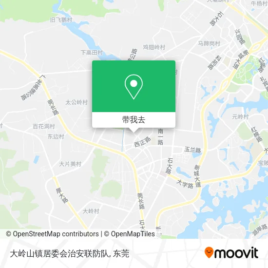 大岭山镇居委会治安联防队地图