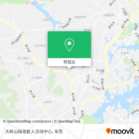 大岭山镇老龄人活动中心地图