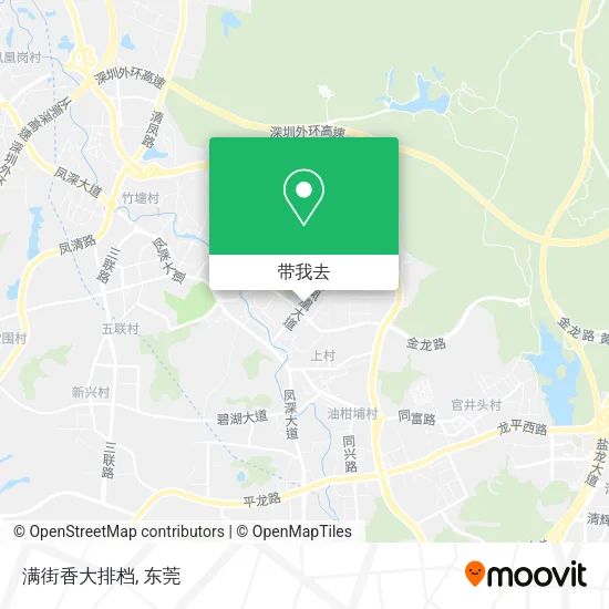 满街香大排档地图