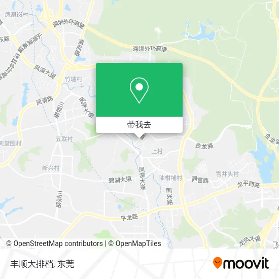 丰顺大排档地图