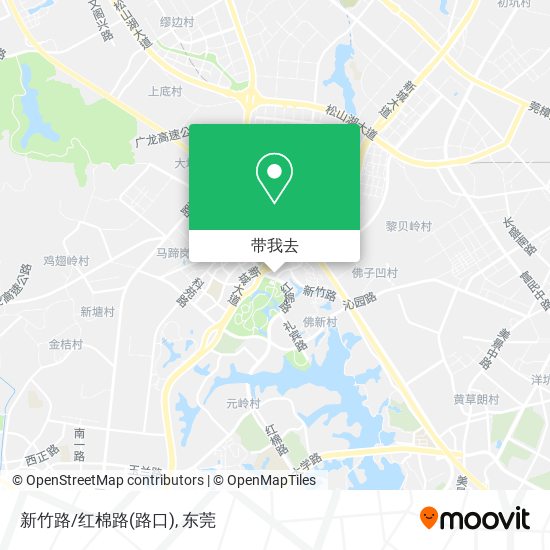 新竹路/红棉路(路口)地图
