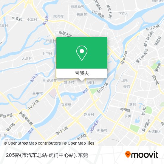205路(市汽车总站-虎门中心站)地图