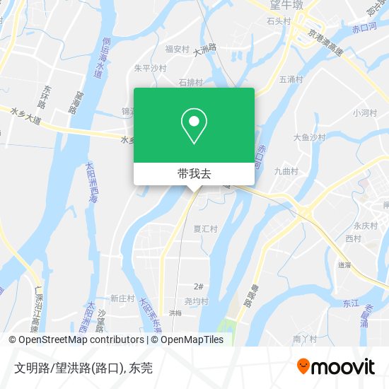 文明路/望洪路(路口)地图