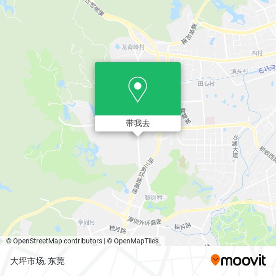 大坪市场地图