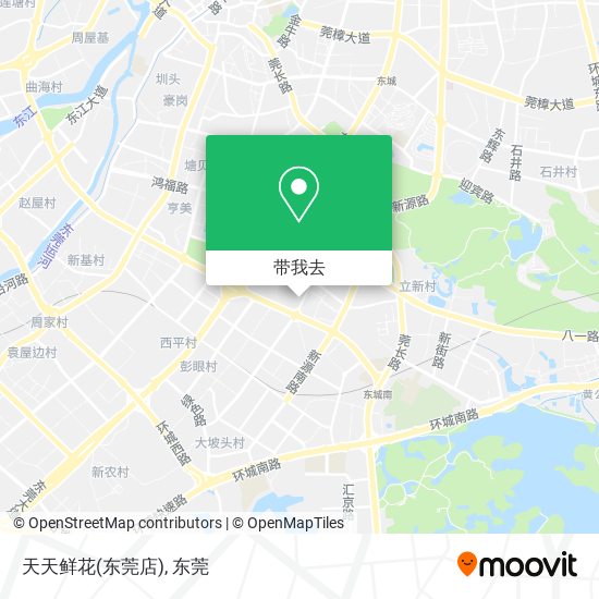 天天鲜花(东莞店)地图