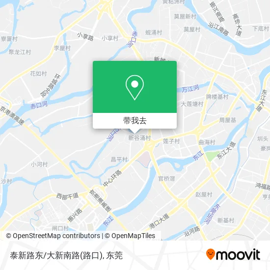 泰新路东/大新南路(路口)地图