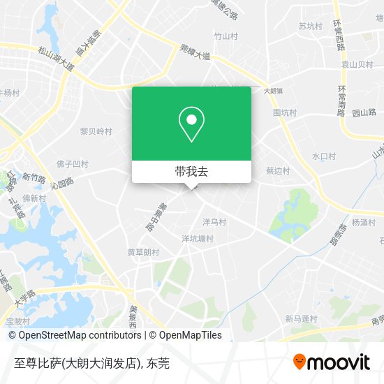 至尊比萨(大朗大润发店)地图