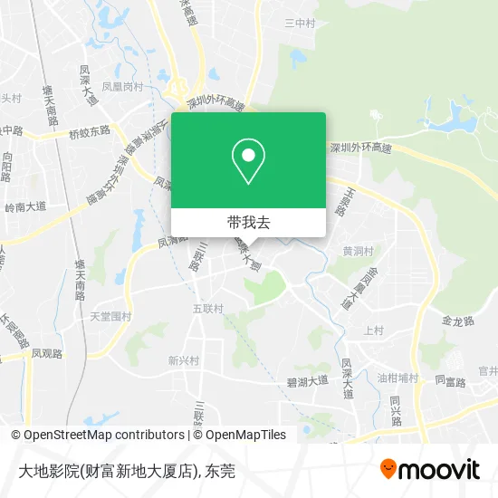大地影院(财富新地大厦店)地图