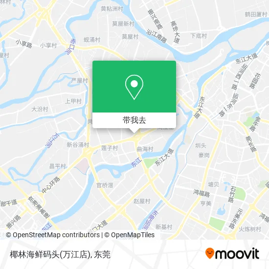 椰林海鲜码头(万江店)地图