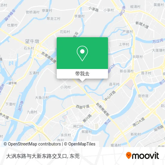大涡东路与大新东路交叉口地图