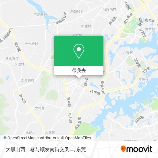 大黑山西二巷与顺发南街交叉口地图