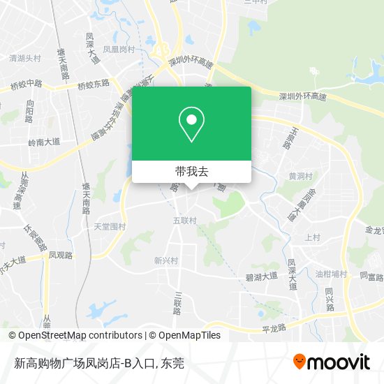 新高购物广场凤岗店-B入口地图
