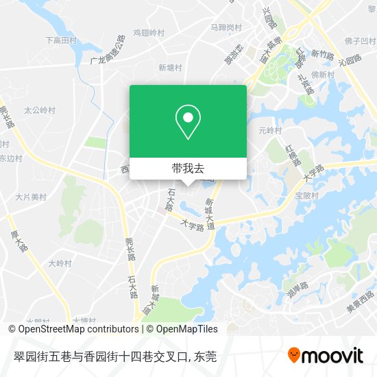 翠园街五巷与香园街十四巷交叉口地图