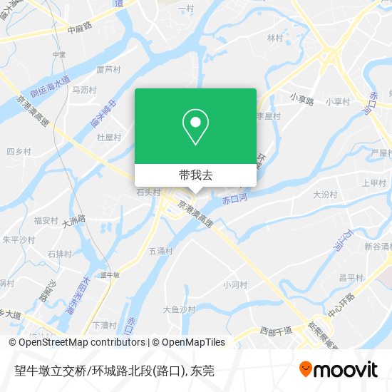 望牛墩立交桥/环城路北段(路口)地图