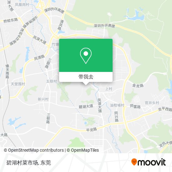 碧湖村菜市场地图