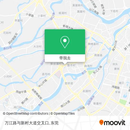 万江路与新村大道交叉口地图