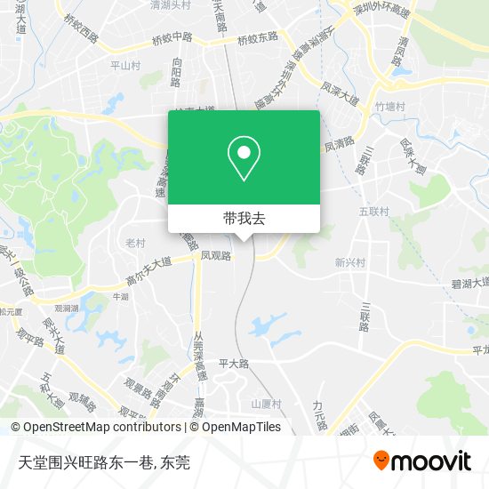 天堂围兴旺路东一巷地图