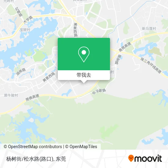 杨树街/松水路(路口)地图