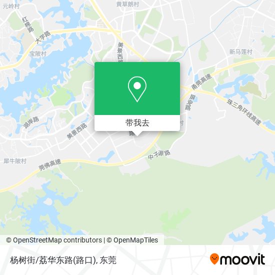 杨树街/荔华东路(路口)地图