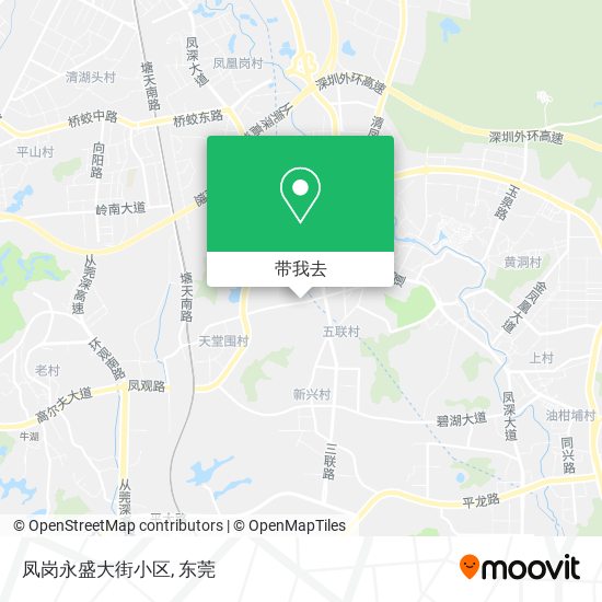 凤岗永盛大街小区地图