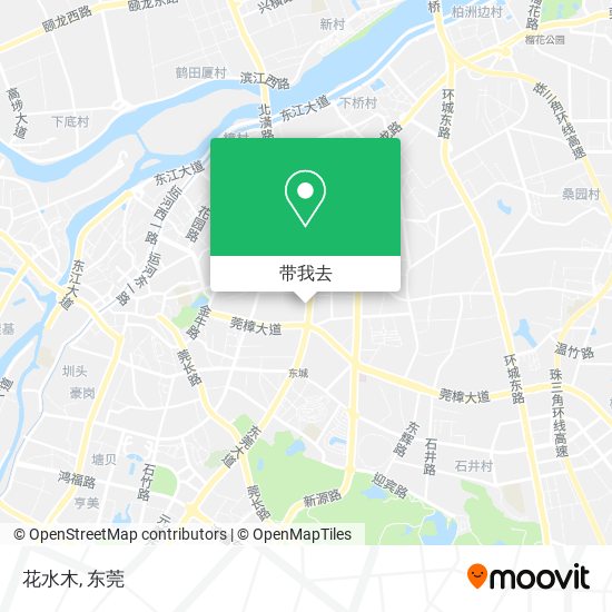 花水木地图