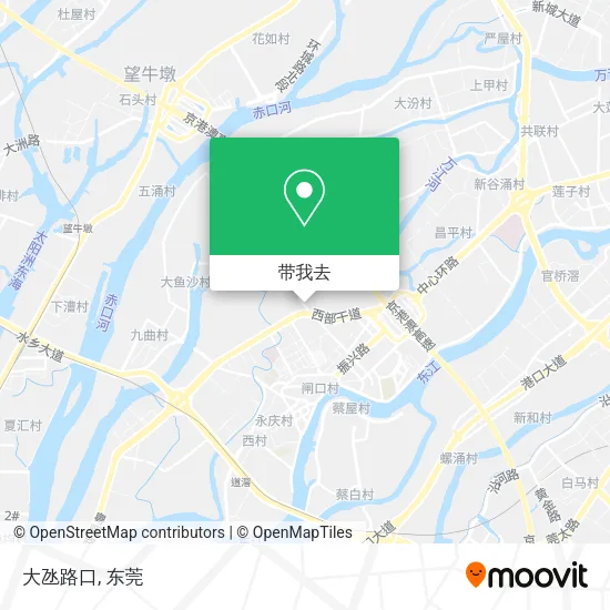 大氹路口地图