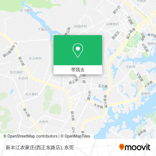 新丰江农家庄(西正东路店)地图