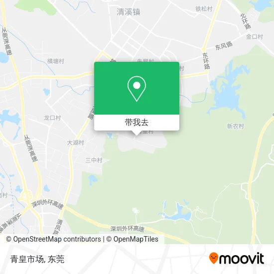 青皇市场地图