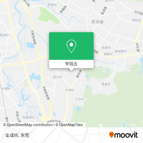 金成街地图