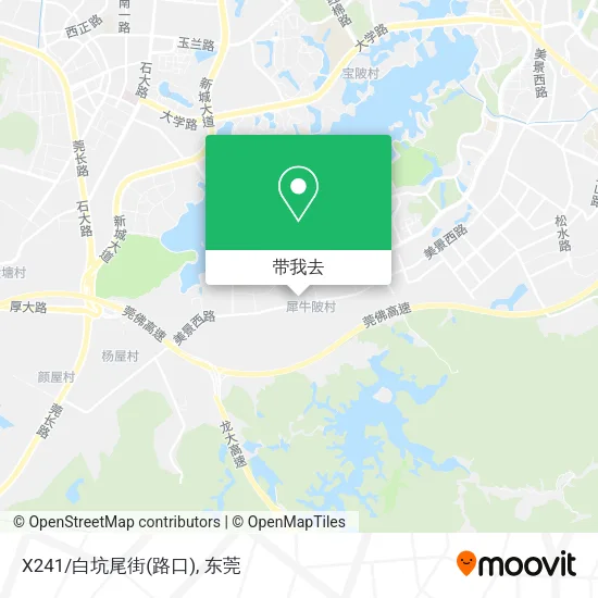 X241/白坑尾街(路口)地图